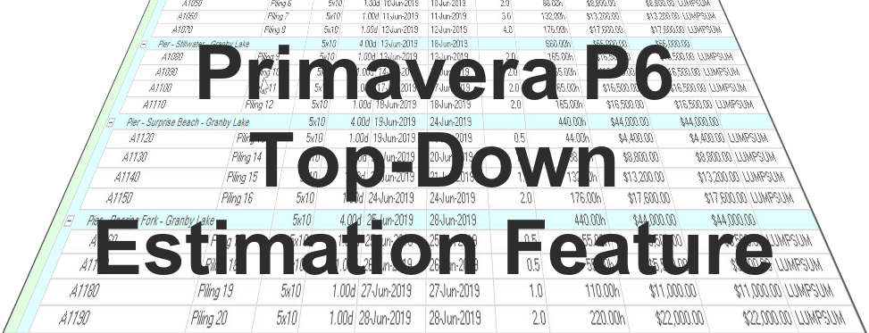 Primavera P6 Top-Down Estimation Feature