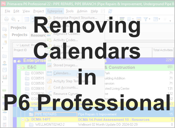 Removing Calendars in P6 Professional