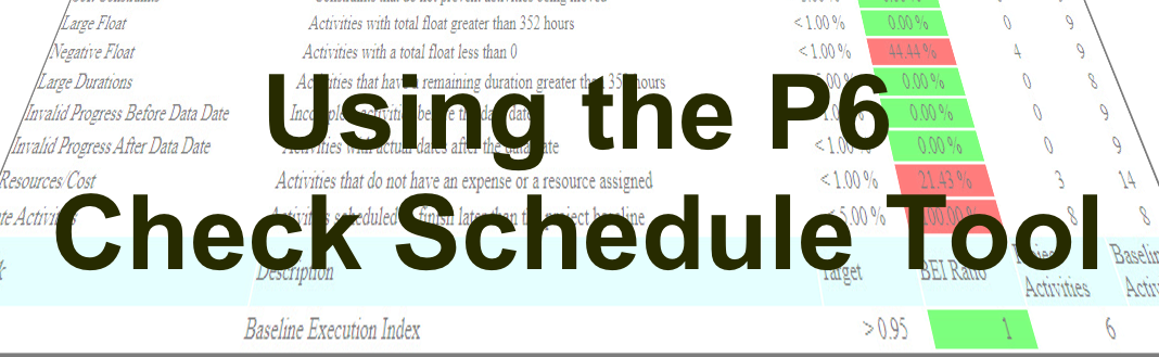 Using the P6 Check Schedule Tool