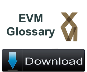 Download EVM Glossary Button