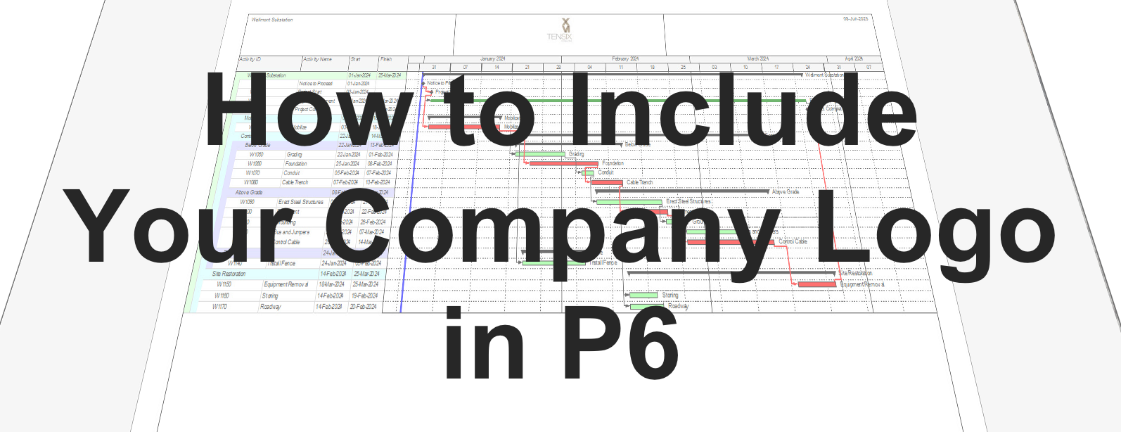 How to Include Your Company Logo in P6 Banner