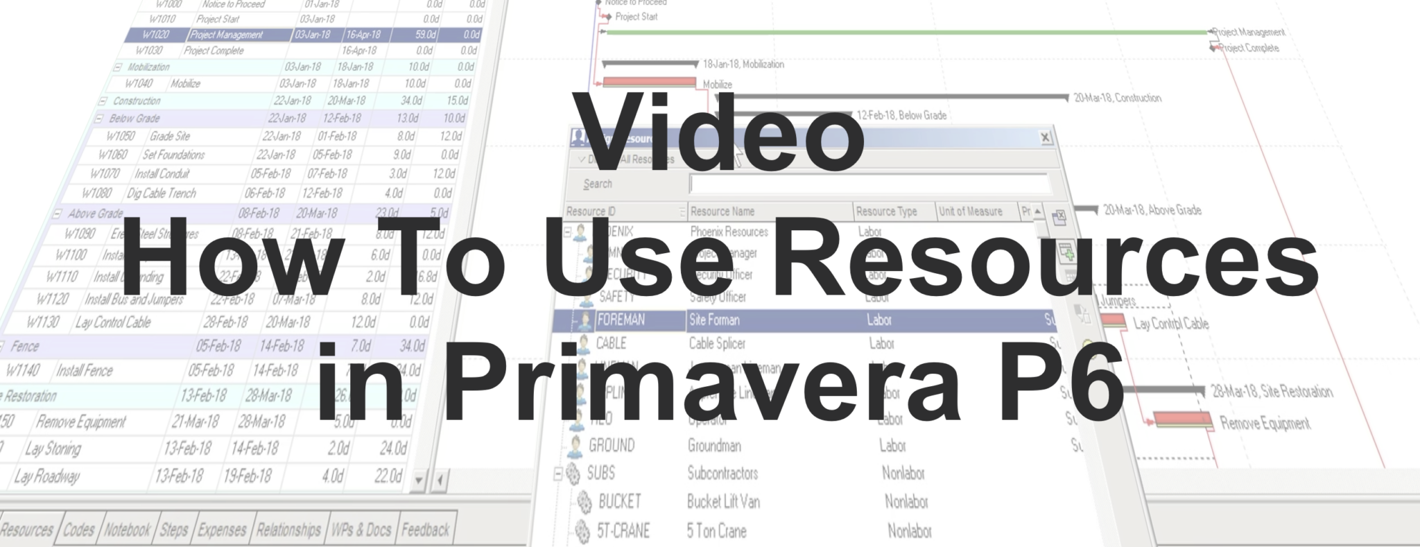 How To Use Resources in Primavera P6