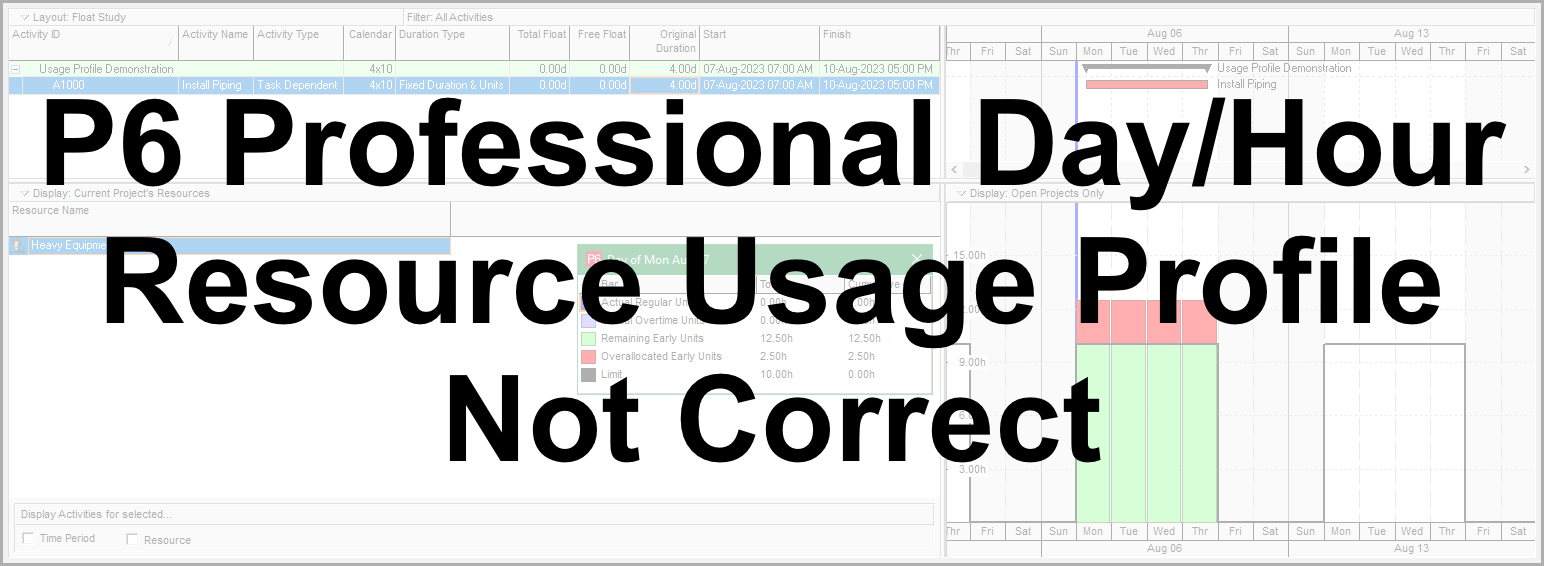 P6 Professional Day/Hour Resource Usage Profile Not Correct