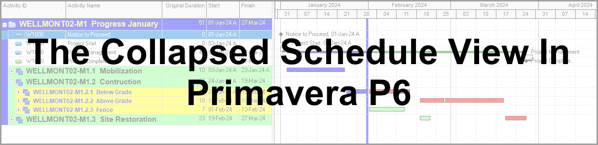 P6 Collapsed Schedule View