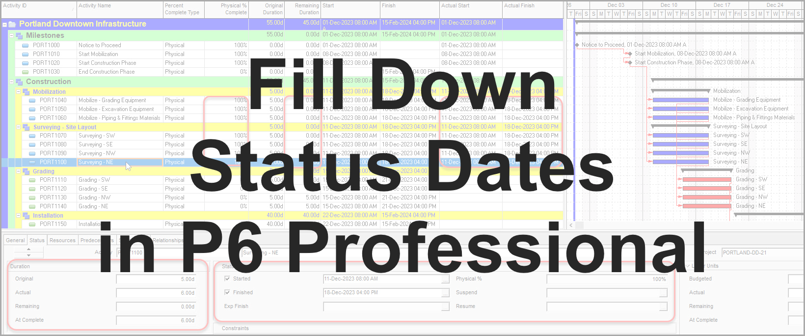 Fill Down Status Dates in P6 Professional