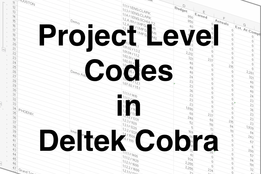 Project Level Codes