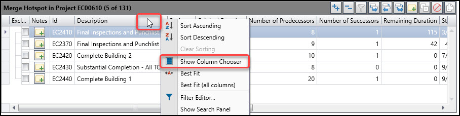 Show Column Chooser