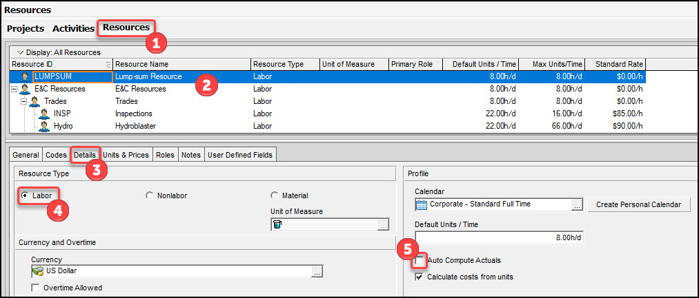 Lump-Sum Resource Loading
