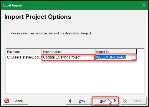 Import Project Options